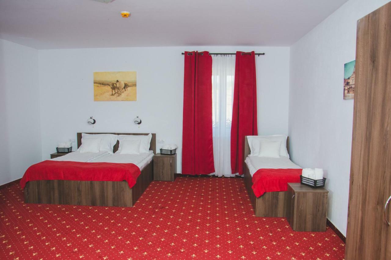Pensiunea Iliada Sibiu Exterior photo