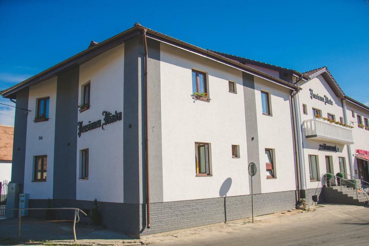 Pensiunea Iliada Sibiu Exterior photo